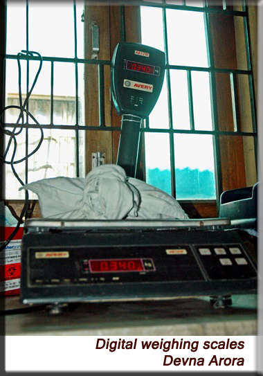 Devna Arora - Digital scales for recording body weight